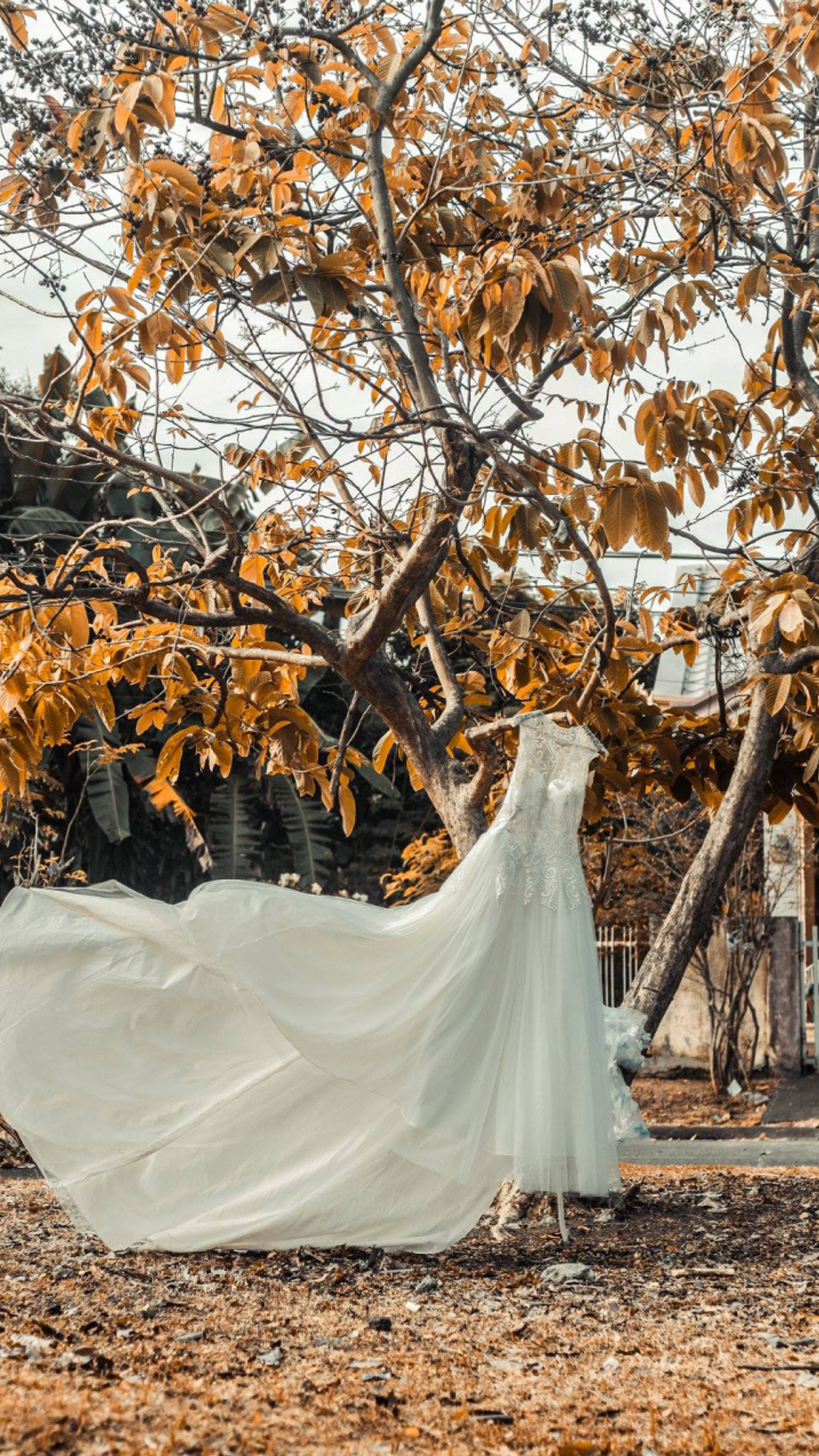 wedding-33